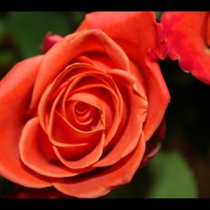 Make offers I will accept or counter